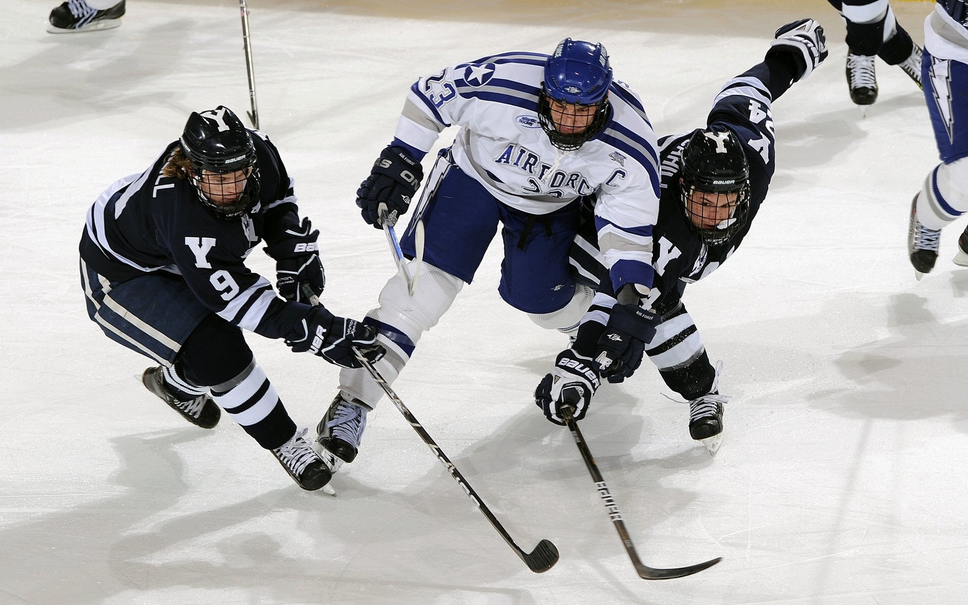 法国队观众热烈欢呼！，Ming迎来二十赛季出色发挥气势如虹延续