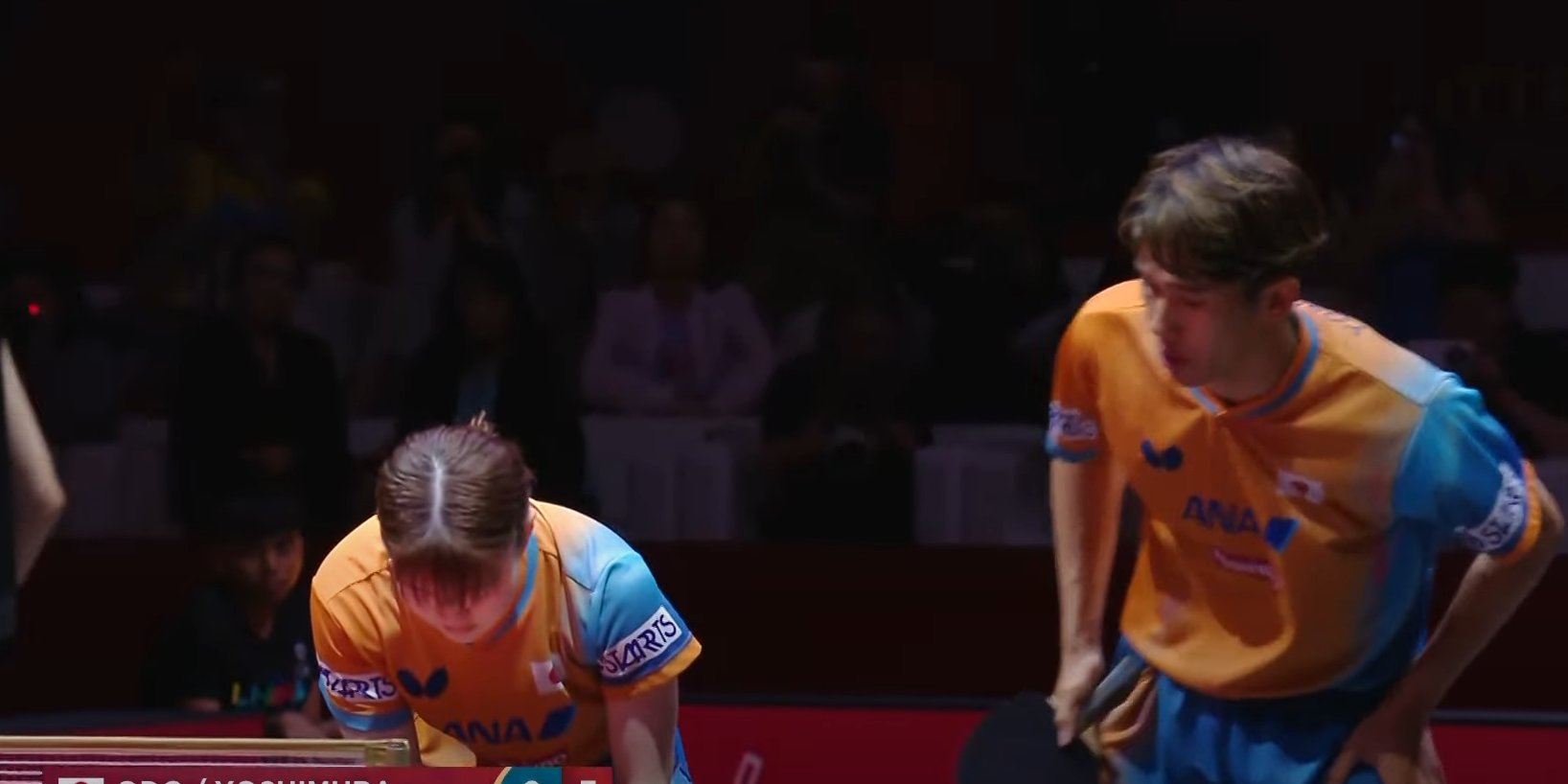 日本队带队取胜!,莎拉波娃重要时刻重要助攻赢得满堂喝彩的简单介绍